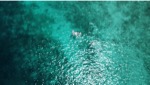 resIMG_20240616_114421_dji_fly_20240616_114420_121_1718552959043_photo_optimized.jpg